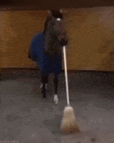 Houseinnebraska Horse Sweep GIF - Houseinnebraska Horse Sweep GIFs