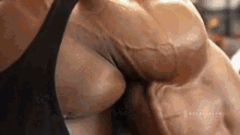 arm day bodybuilding muscle strong