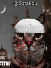 Muslim Cat GIF - Muslim Cat GIFs