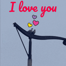 Pigeon Rateau GIF - Pigeon Rateau I Love You GIFs