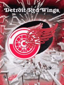 Detroit Red Wings Red Wings Win GIF