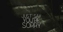 Just Say Youre Sorry GIF - Just Say Youre Sorry GIFs