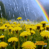 дождливое утро дождь GIF - дождливое утро утро дождь GIFs