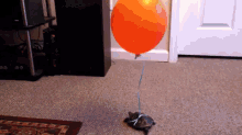Turtle'S Ballooning Adventure GIF - Turtle Balloon Crawl GIFs