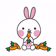 rabbits carrot carrots bunny vegetable