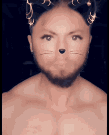 Mikenspired Catman GIF - Mikenspired Catman Yes GIFs