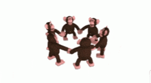 a group of stuffed monkeys are holding hands in a circle .
