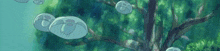 a group of jellyfish floating in the water near a tree .