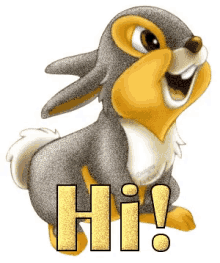 Thumper Hello GIF - Thumper Hello Hi GIFs