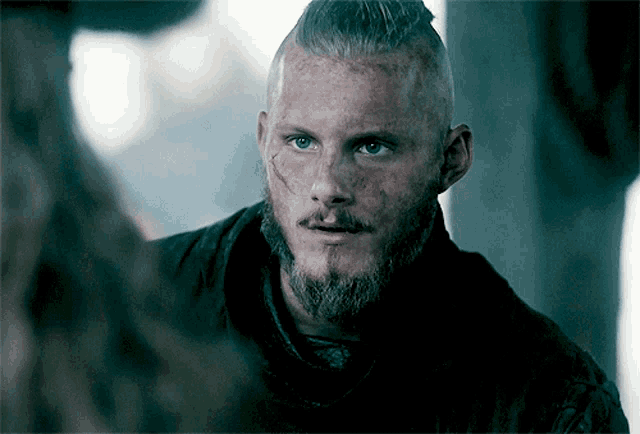 Bjorn Ironside Vikings Bjorn GIF - Bjorn Ironside Vikings Bjorn Alexander  Ludwig - Discover & Share GIFs