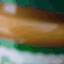 a computer generated image with the words easyple written below it