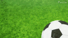 Rin Itoshi'S Goal GIF - Rin Itoshi'S Goal GIFs