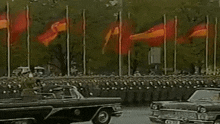 a black car with a license plate that says gg on it is parked in front of a row of german flags