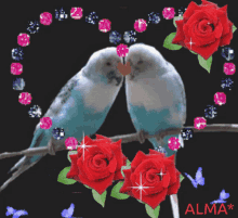 Periquitos De Amor Flower GIF - Periquitos De Amor Flower Birds GIFs