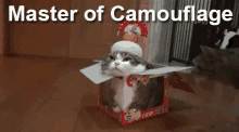 Master Of Camouflage GIF - Cats Funny Box GIFs