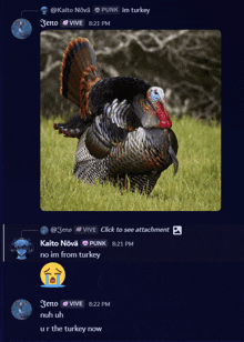 a picture of a turkey is displayed in a screenshot of a conversation