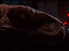 a close up of a dinosaur 's face with a red light behind it