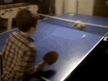 Ping Pong Cat GIF - GIFs