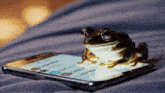 a frog sitting on top of a cell phone that says ' google ' on it