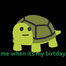 Me When Birtday Turtle GIF