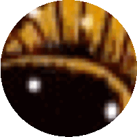 a close up of a circle with a blurred background and a white border