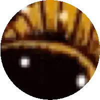 a close up of a circle with a blurred background and a white border