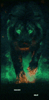 a poster of a black panther with green eyes and the name gasanov geldi