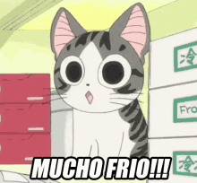 Mucho Frio GIF - Cat Gato Mucho Frio GIFs