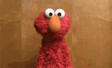 Elmo Dumb GIF - Elmo Dumb Shrug GIFs