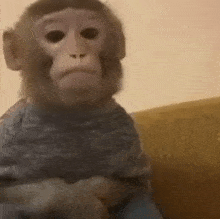 Monkey Sad Monkey GIF - Monkey Sad Monkey Monkey Sad GIFs