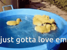 Love Cute GIF - Love Cute Ducks GIFs