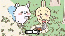 a cartoon of a squirrel and a rabbit standing next to each other with the word morbug above them .