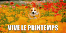 Vive Le Printemps GIF - Vive Le Printemps Printemps GIFs