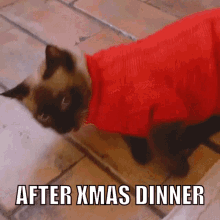 After Xmas GIF - After Xmas Dinner GIFs