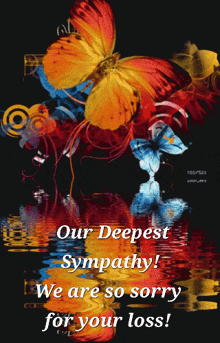 Our Deepest Sympathy We Are So Sorry For Your Loss GIF