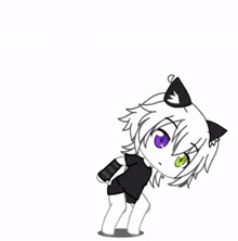 a girl with cat ears and purple and green eyes is standing on a white background .
