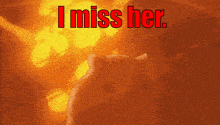 I Miss Her Explosion GIF - I Miss Her Explosion Hamster GIFs