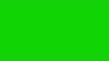 Pixar Green Screen GIF - Pixar Green Screen GIFs