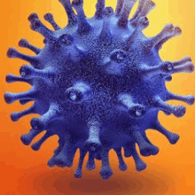Wash Hand To Kill Corona Virus GIF - Wash Hand To Kill Corona Virus GIFs