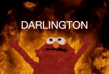 darlington ninth house