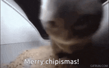 Chipi Chipi Christmas GIF