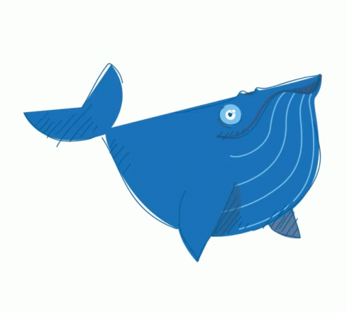 Whale Cartoon GIF - Whale Cartoon - Discover & Share GIFs