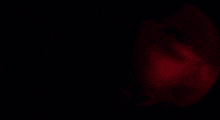 a close up of a person 's face with a red light behind them