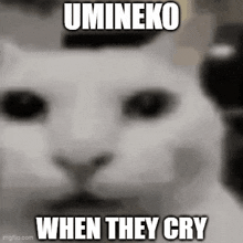 Umineko Umineko When They Cry GIF - Umineko Umineko When They Cry When They Cry GIFs
