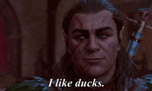 I Like Ducks Halsin GIF - I Like Ducks Halsin Ducks Are Cool GIFs