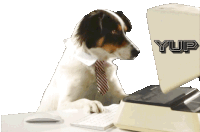Yup Office Dog Sticker - Yup Office Dog Agreeing Dog Stickers