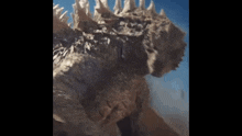 Godzilla Godzilla X Kong The New Empire GIF - Godzilla Godzilla X Kong The New Empire Turn Around GIFs