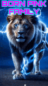 a picture of a lion with the words born pink family written above it