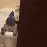 Cat Wizard GIF