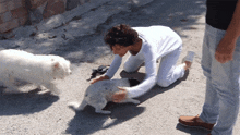 a woman kneeling down petting a white dog
